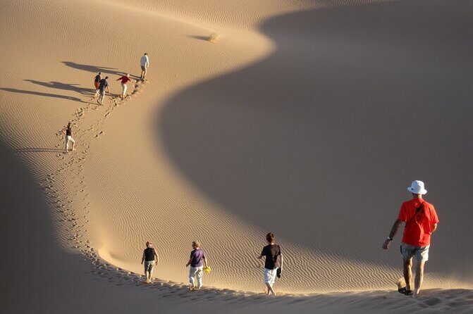 Agafay Desert Camel riding with sunset and dinner and berber show - Why This Tour Offers Great Value