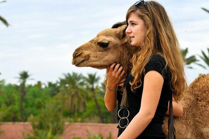 Agafay Desert Day Trip & Atlas Mountains with Camel Ride - Who Would Enjoy This Tour?