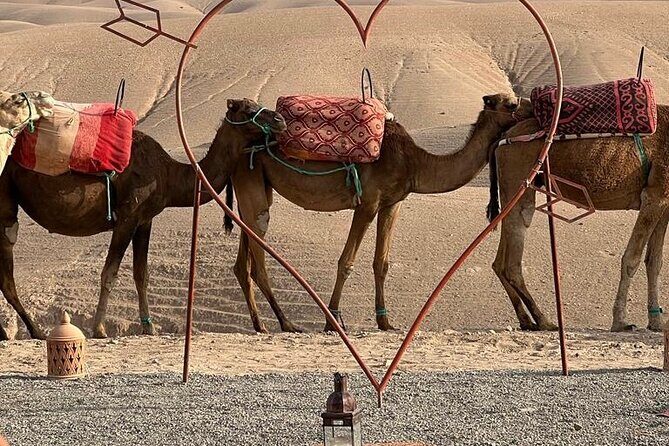 Agafay Desert : Dinner, show, Sunset & Access to the pool - Authentic Experiences and Cultural Value