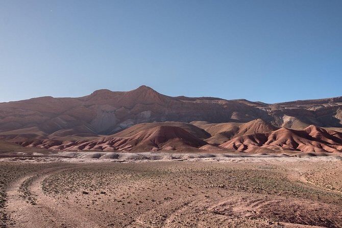 Agafay Desert Experience:Quad Biking,Camel Ride and Dinner Show - What Makes This Tour Stand Out?