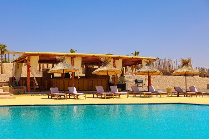 Agafay Desert Luxury, Quad, Camel, Pool, Dinner Show and Concert - Evening Entertainment: Music, Fire, and Dancing