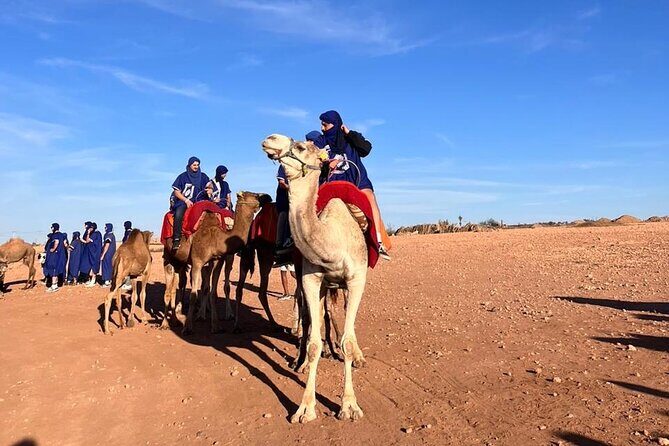 Agafay Desert Package: Quad Bike, Camel Ride, Dinner show - Who Will Love This Tour?