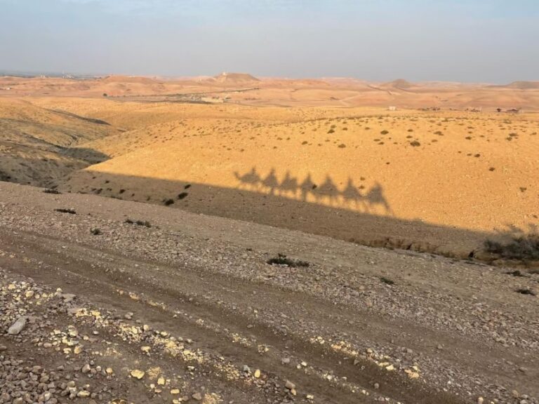 Agafay Desert: Quad Bike, Camel Ride and Dinner Show - The Bottom Line: Who Will Love This Tour?