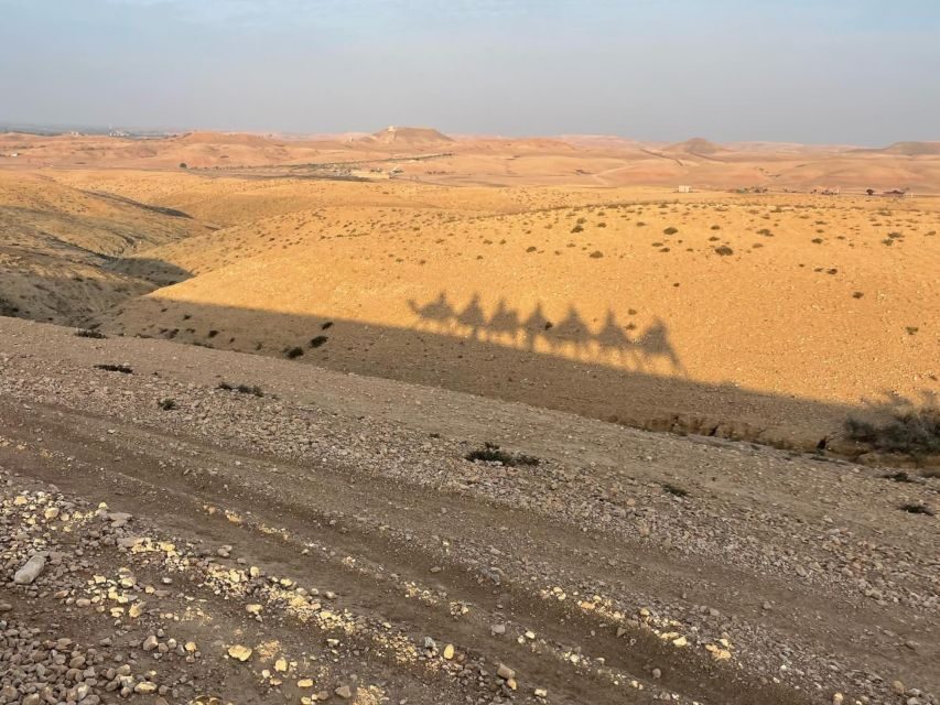 Agafay Desert: Quad Bike, Camel Ride and Dinner Show - The Bottom Line: Who Will Love This Tour?