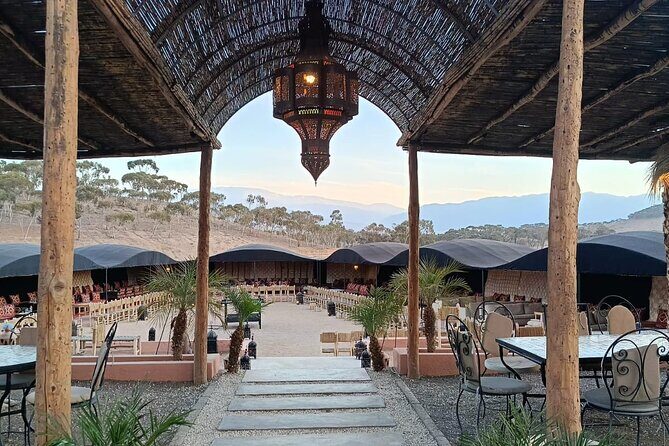 Agafay Desert : Quad Biking, Camel Ride and Dinner - Analyzing the Value