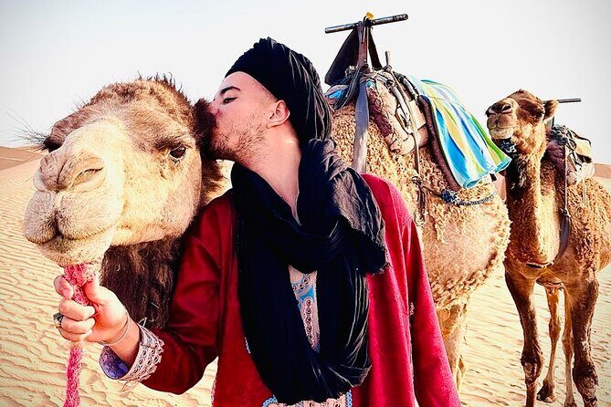 Agafay Desert: Quad Biking, Camel Ride & Dinner Show Experience. - What Travelers Say