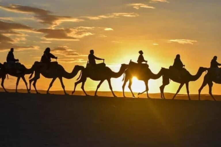 Agafay Desert Quad & Camel Rides with Dinner Show - What to Expect from the Tour