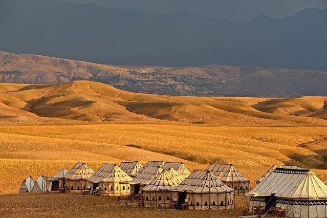 Agafay Desert: Quad & Camel With Dinner in a Berber Tent - The Sum Up: Who Will Love This Tour?