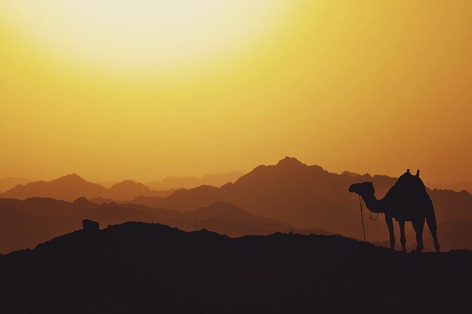 Agafay Desert sunset Camel ride and dinner Experience - The Camel Ride: A Taste of Nomad Life