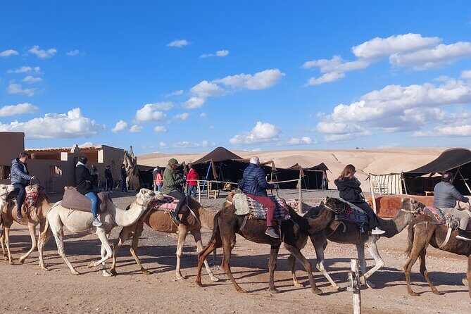 Agafay Desert Sunset tour with camel ride ,dinner and show - Who Is This Tour Best For?