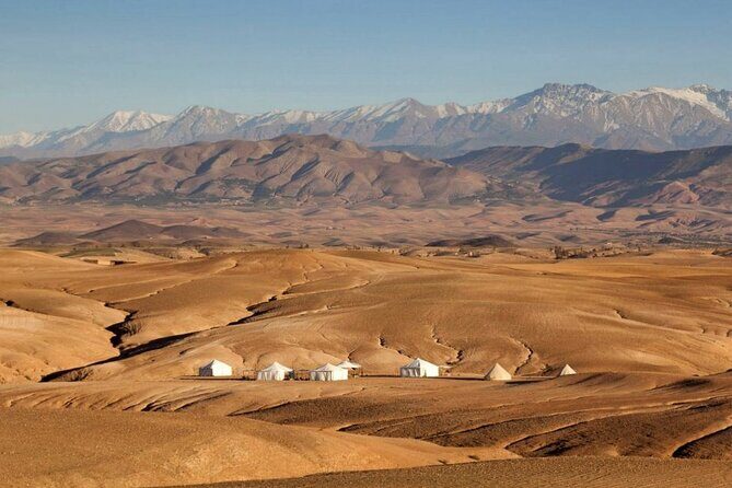 Agafay : Luxury Dinner in the Desert with Camels - Transportation and Group Dynamics