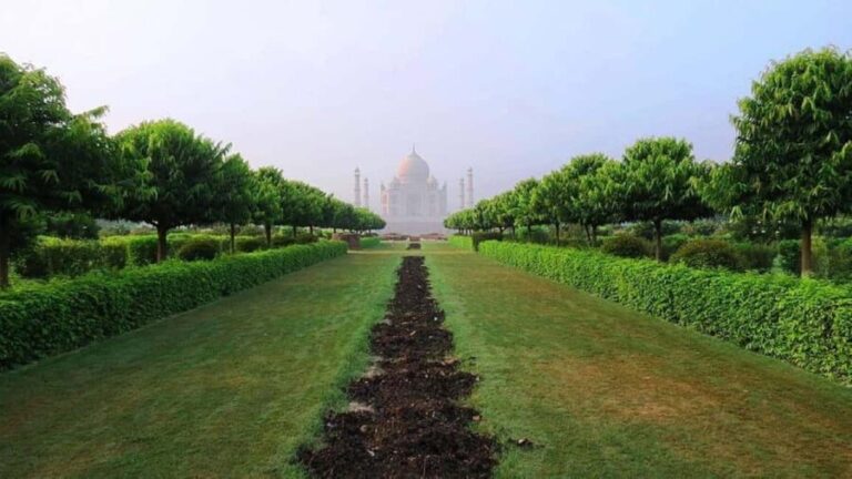 Agra Highlights Tour One Day from Delhi by Car - The Value of This Tour