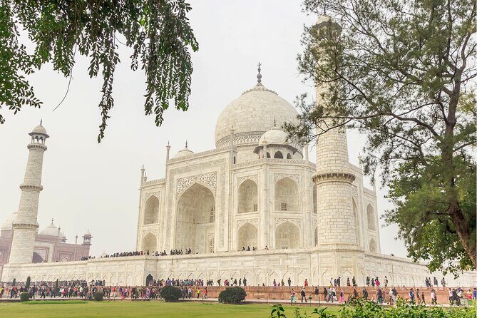Agra: Skip the Line Ticket to Taj Mahal with Guided Tour - Unpacking the Reviews: What Travelers Say