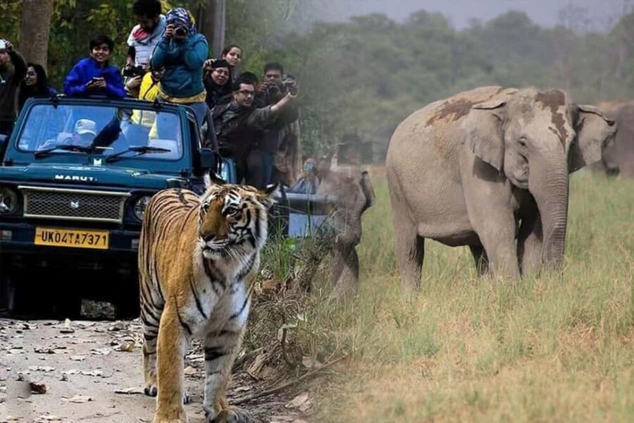 Agra, Taj, Fatehpur Sikri & Ranthambore Safari - 3 Days - Why This Tour Offers Great Value