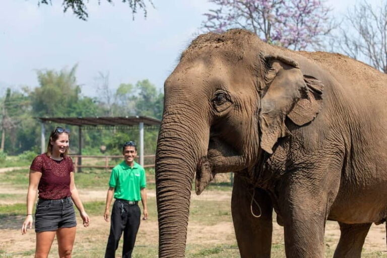 Agra: Taj Mahal, Agra Fort & SOS Wildlife Sanctuary Tour - Who This Tour Is Best For
