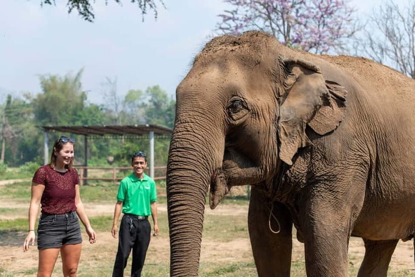Agra: Taj Mahal, Agra Fort & SOS Wildlife Sanctuary Tour - Who This Tour Is Best For