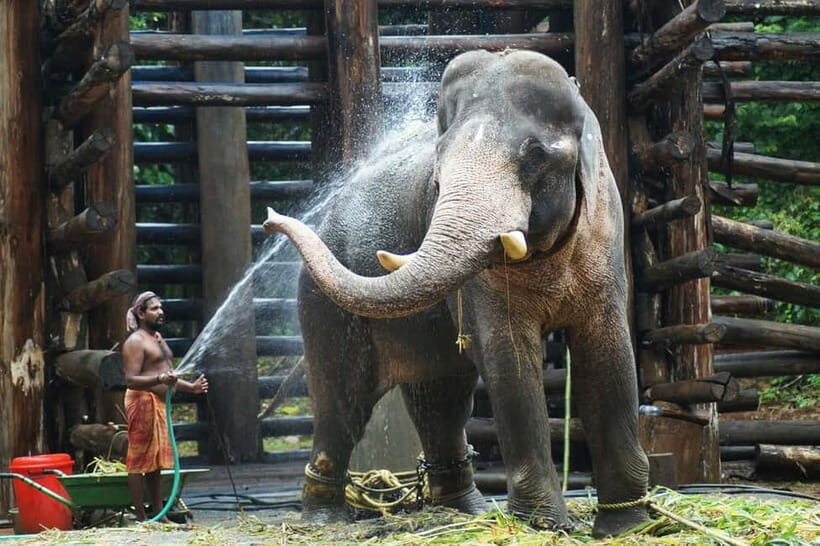 Agra: Taj Mahal Sunrise Tour with Elephant Sanctuary - The Itinerary in Detail