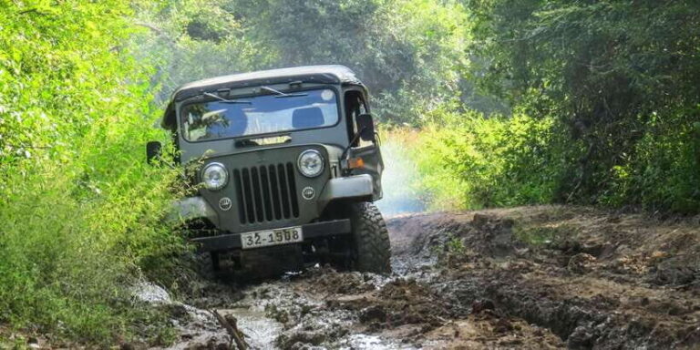 Ahangama: Udawalawe National Park Safari with Hotel Pickup - The Experience of Transport and Guides