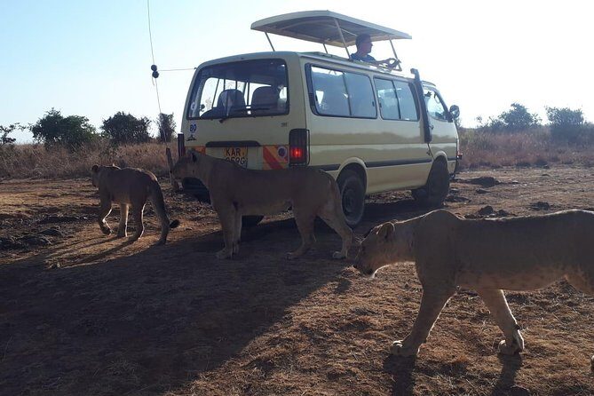 Airport Pick Up To Nairobi National Park / Drop Off - The Real Value for Travelers