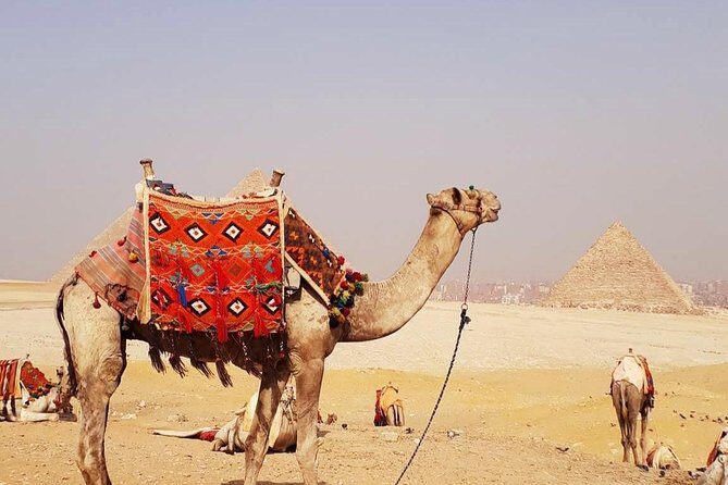 Airport Transfer + tour inside Giza pyramids, Sphinx and Valley temple - The Sum Up