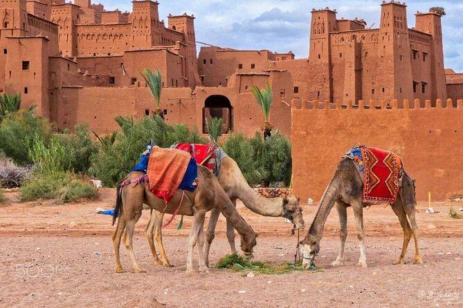 Ait ben haddou and Ouarzazate day trip from Marrakech - Final Thoughts