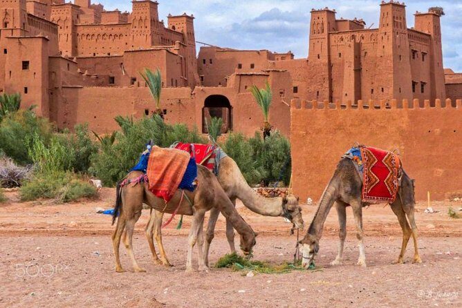 Ait ben haddou and Ouarzazate day trip - Who Will Love This Tour?