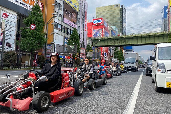 Akihabara: Go-Kart Experience with Local Guide in Tokyo - The Sum Up