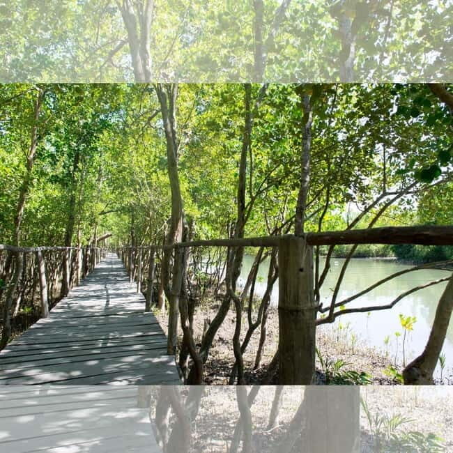 Aklan Vibrant Kalibo Tour (Half Day) - Practical Details and What to Expect