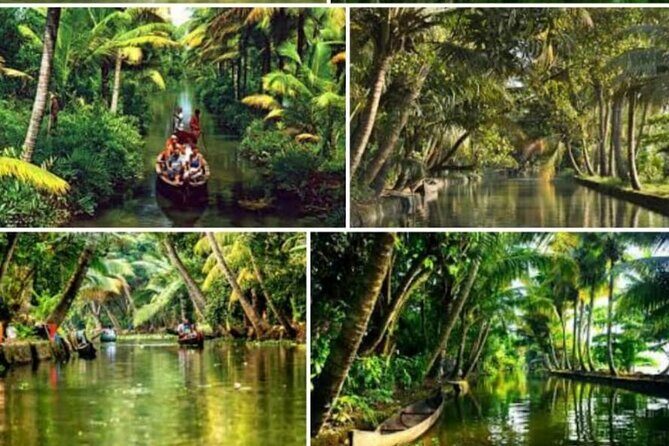 Alasr Lakeview Cruise /Hourly Trips to Backwater of Alleppey - Who This Tour Is Perfect For