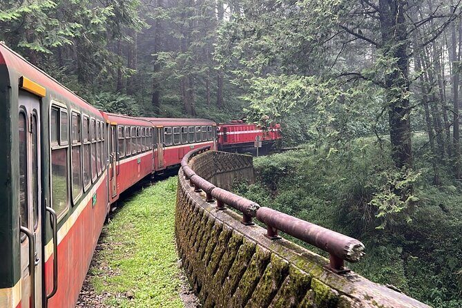 Alishan Day Tour from Chiayi (Incl. Park Entrance) - FAQs
