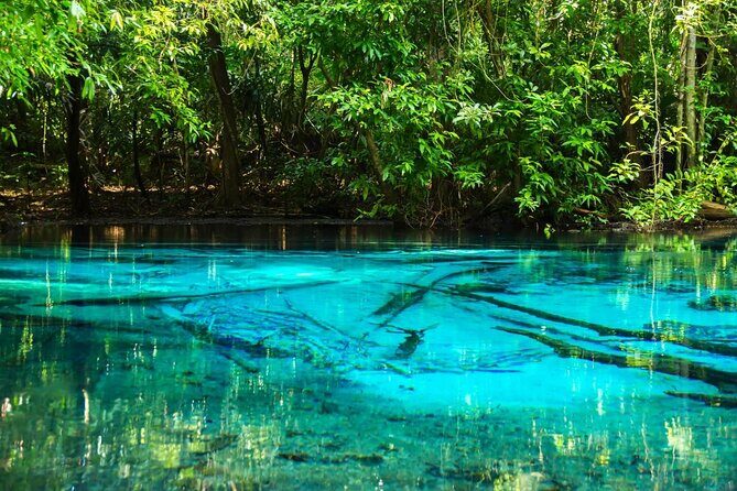 All day Krabi Jungle Tour (Hot Spring Water, Emerald Pool, Tiger Cave Temple) - Who Should Consider This Tour?
