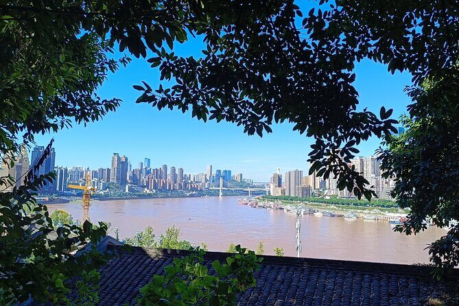All-In-One Chongqing Trendy Spots Private Tour - Experiencing Old Neighborhoods and Scenic Walks