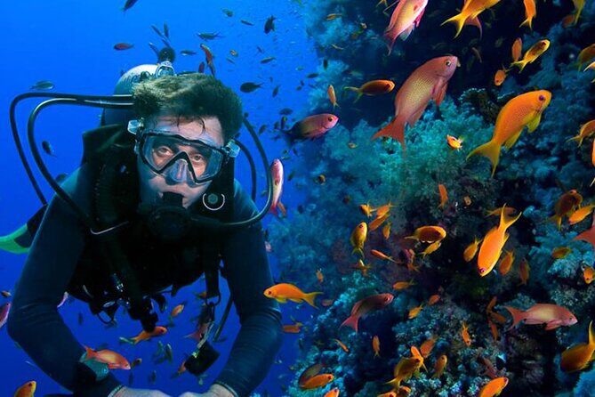 All in One intro Diving & Snorkeling & Water Sport -Hurghada - The Experience and Real Traveler Impressions