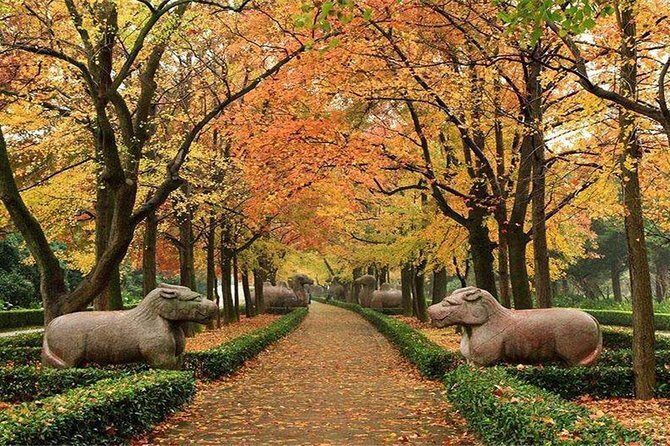 All Inclusive Amazing Nanjing City Highlights Private Day Tour - What Reviewers Say