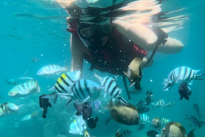 All Inclusive : Bali Blue Lagoon Snorkeling with Lunch &Transfers - Who Will Love This Experience?