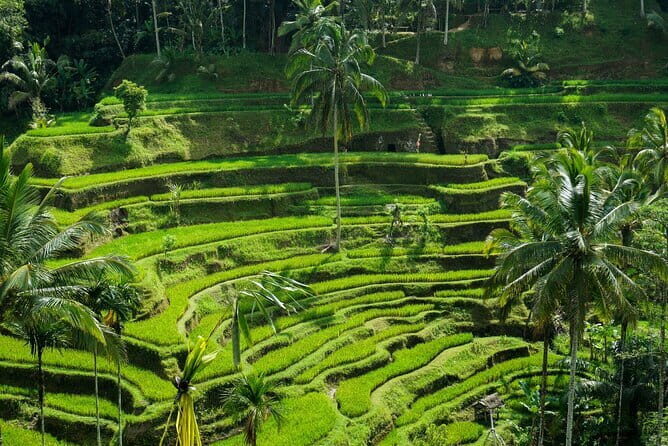 All Inclusive of Ubud Top Attraction - Ubud Royal Palace and Traditional Art Market: Culture and Crafts