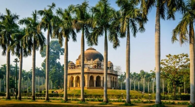 All Inclusive Old and New Delhi Fullday or Halfday Tour - What Travelers Say: Authentic Experiences and Practical Tips