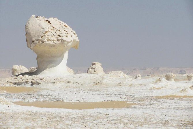 All inclusive Overnight trip to Bahariya Oasis with White Desert - What Our Reviewers Loved