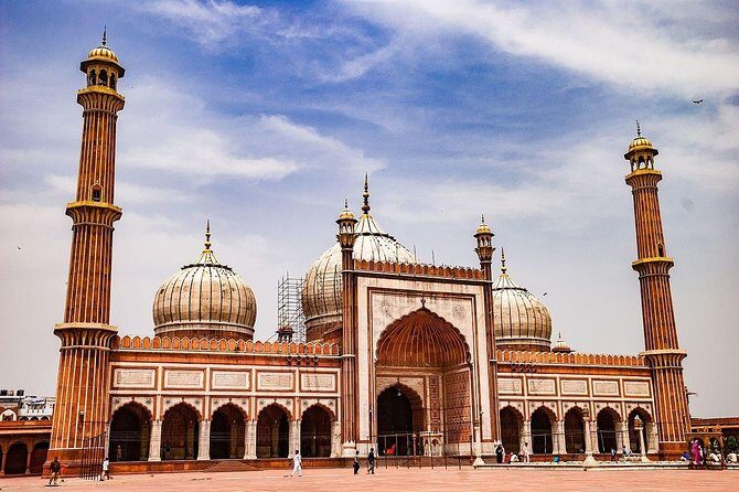 All Inclusive Private Full Day New Delhi and Old Delhi City Tour - What Travelers Say