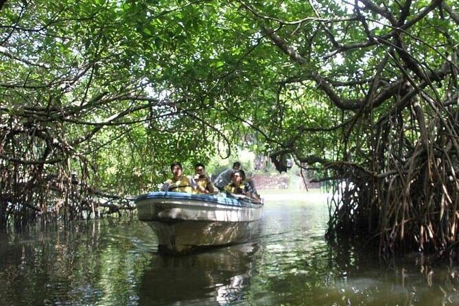 All-Inclusive Private tour in Sri Lankan Island 9 Day HB hotels - The Sum Up: Is This Tour Right for You?