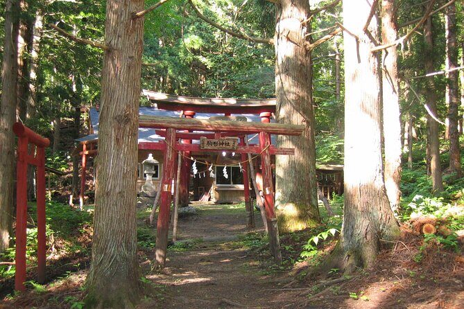All Must-Sees Tono Private Tour with Government-Licensed Guide - What Travelers Say