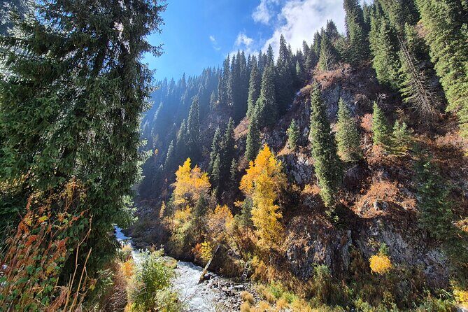 Alma-Arasan & Ayusai Mountain Gorges with Hot Springs Tour - The Reviews Speak: Authentic Traveler Insights
