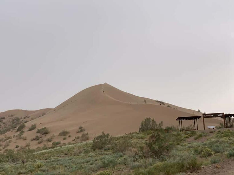 Almaty: Altyn-Emel National Park Day Trip with Guide - The Experience: What Travelers Say