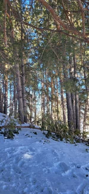 Almaty: Kok Zhailau Mountain and Batareika Waterfall Hike - The Itinerary, Step by Step