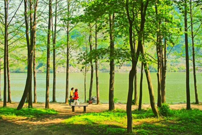 Alpaca World and Nami Island with Gangchon Rail Bike Tour - Detailed Breakdown of the Itinerary