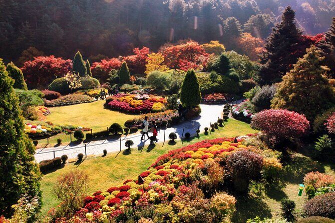 Alpaca World & Nami Island & Garden of Morning Calm One Day Tour - Transport and Group Size