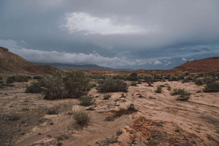 Altyn-Emel National Park: 1-Day Adventure - Key Stops: Singing Dune and Aktau Mountains