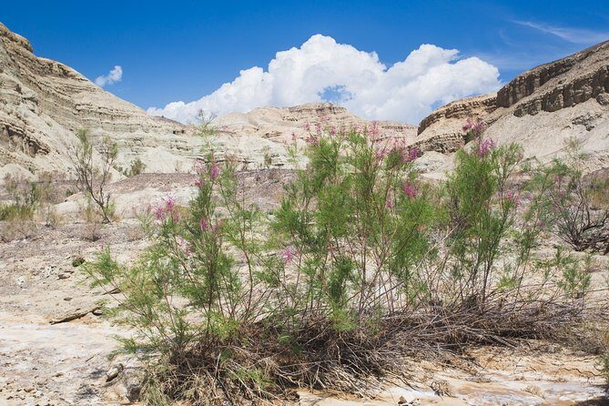 Altyn Emel. Singing dune and Aktau mountains 2 days tour - Practical Details for Travelers