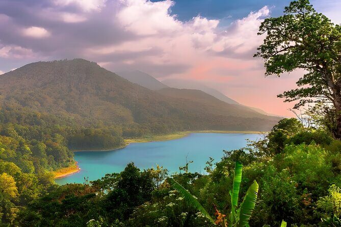 Amazing Bali Dolphin Watching Trip Experience - What the Tour Offers