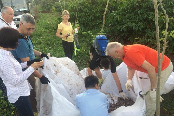 Amazing Coffee full-day tour in Buon Ma Thuot - Daklak - What Travelers Should Know
